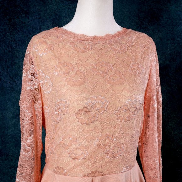 NWT Halcyeen | Pink Floral Lace-Bodice A-Line Dress - XL - Picture 3 of 6